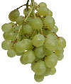 grape