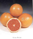 grapefruit