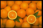 oranges