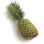 pineapples